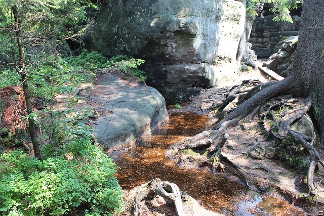 img00010.jpg
