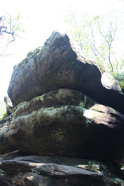 img00012.jpg