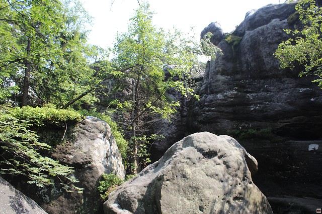 img00017.jpg