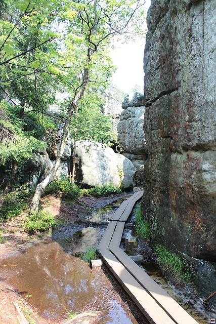 img00018.jpg
