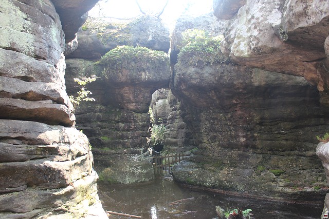 img00021.jpg