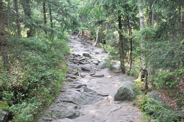 img00046.jpg