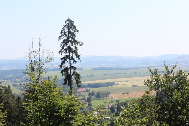 img00056.jpg