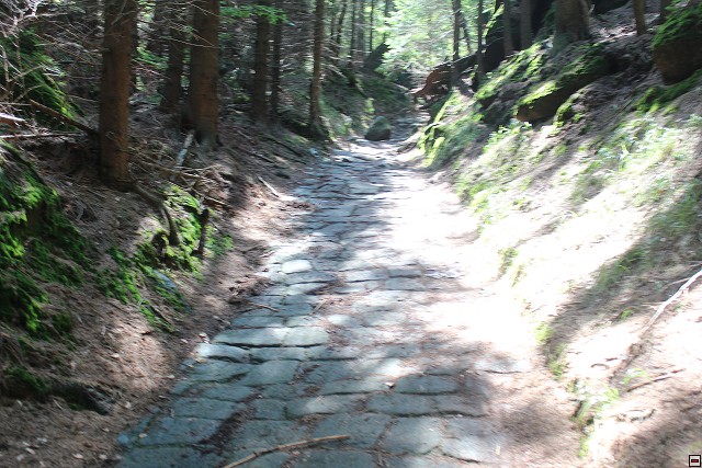 img00076.jpg