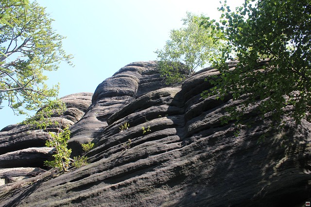 img00077.jpg