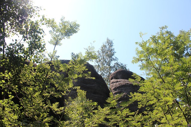 img00080.jpg