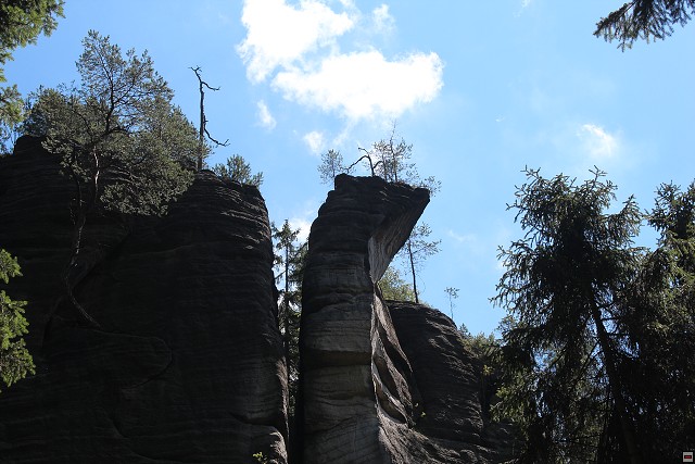 img00235.jpg