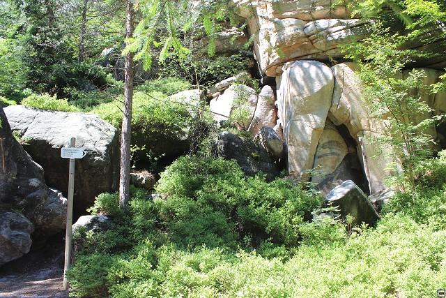img00237.jpg