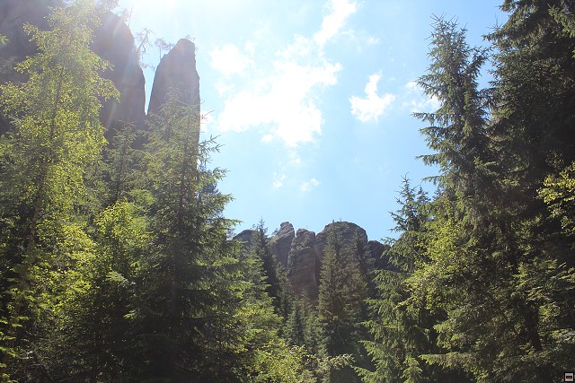img00239.jpg