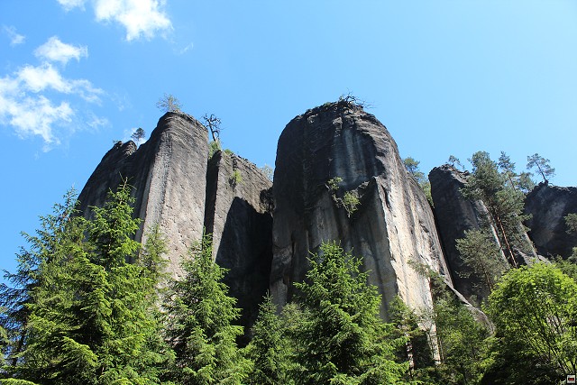 img00240.jpg