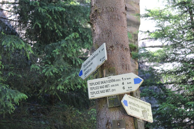 img00241.jpg