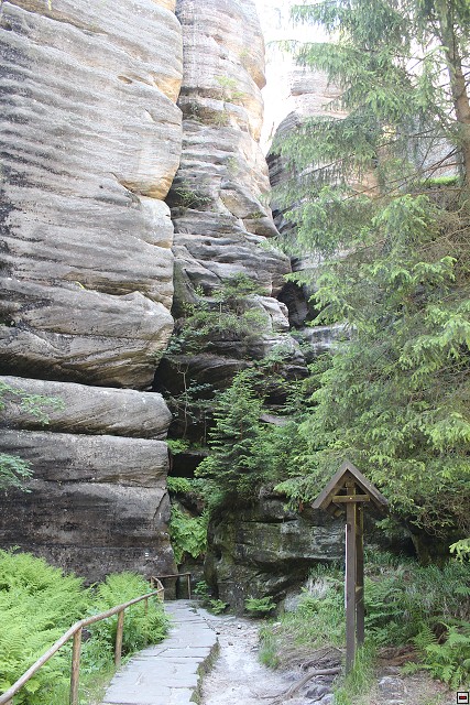 img00242.jpg