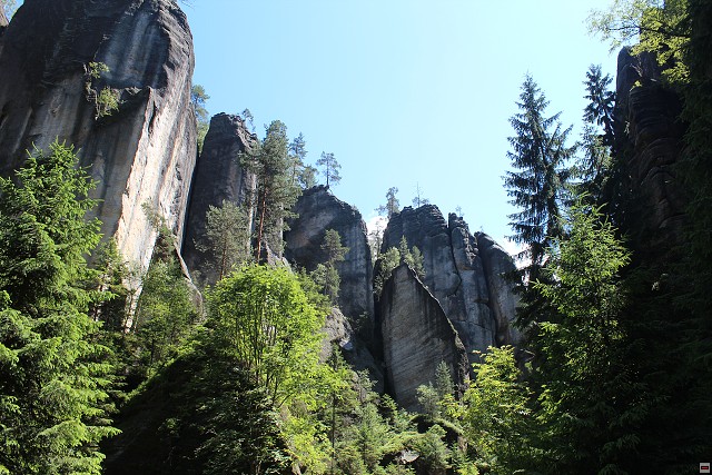 img00243.jpg