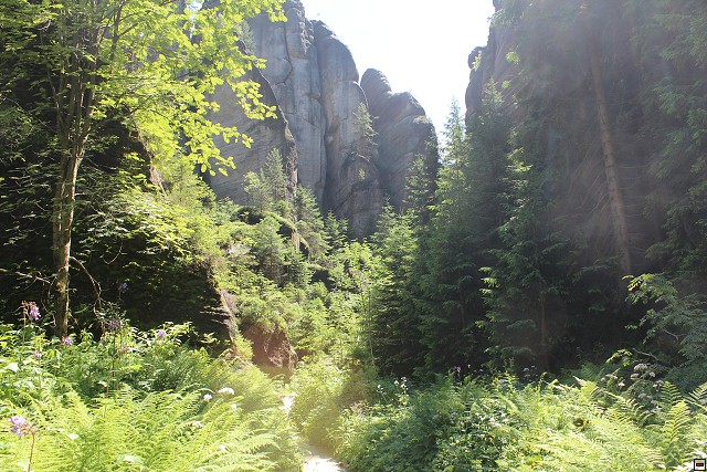 img00244.jpg