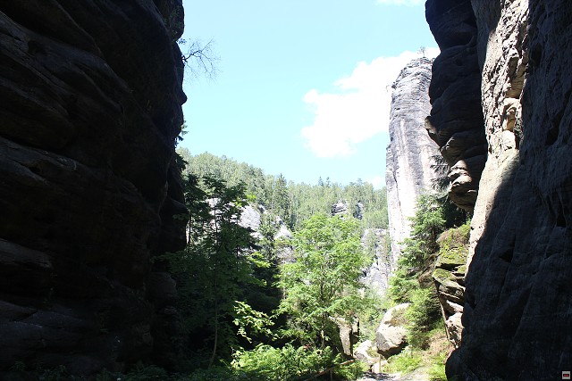 img00247.jpg