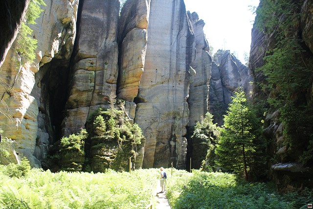 img00248.jpg