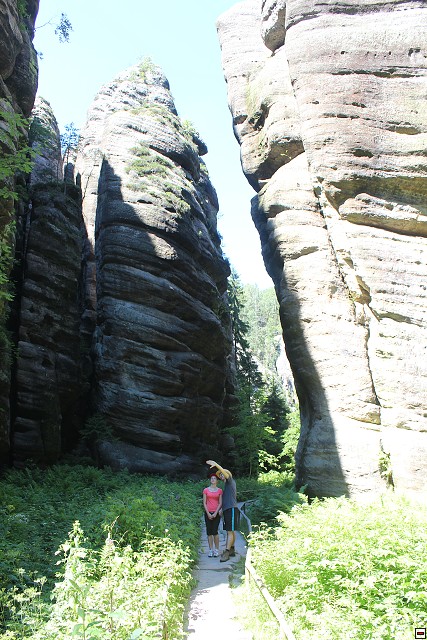 img00249.jpg