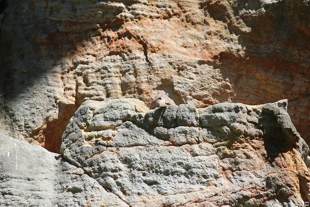 img00251.jpg
