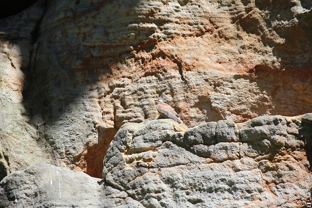 img00253.jpg
