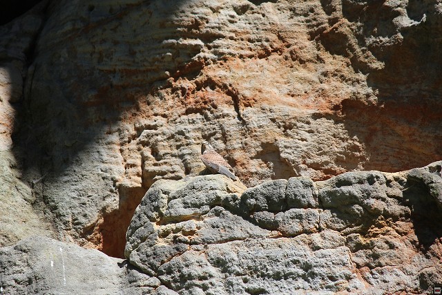 img00254.jpg