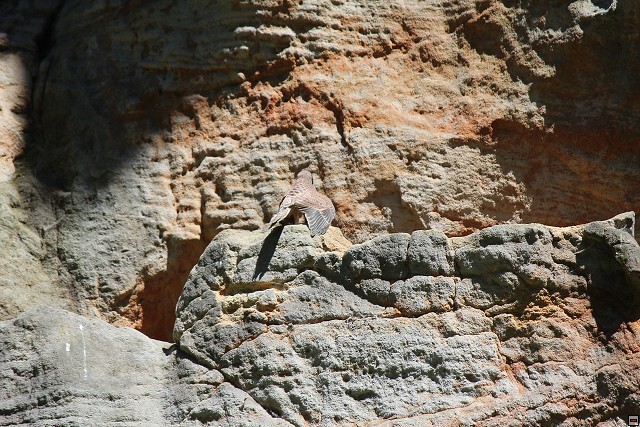 img00256.jpg
