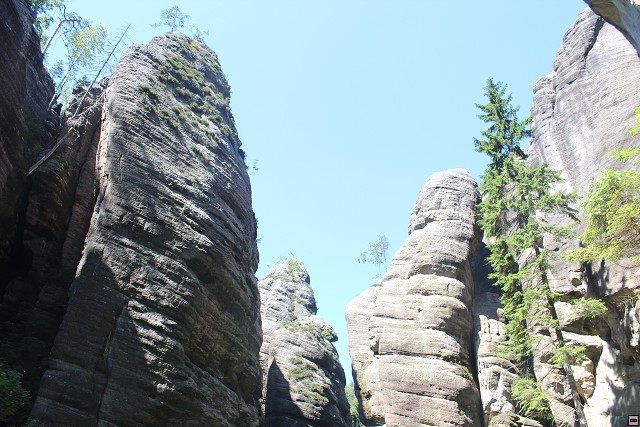 img00257.jpg