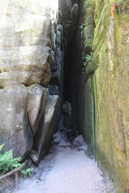 img00258.jpg