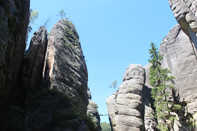 img00259.jpg