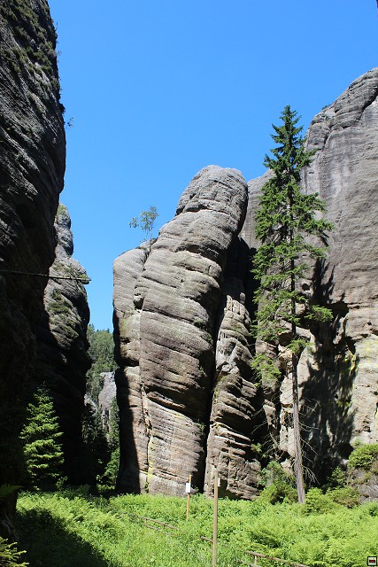 img00260.jpg