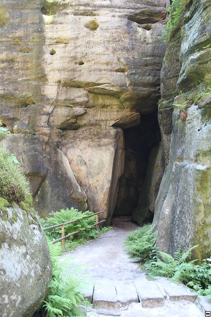 img00262.jpg