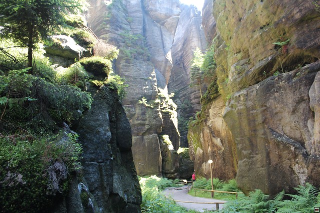 img00263.jpg
