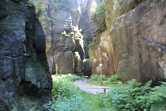 img00267.jpg