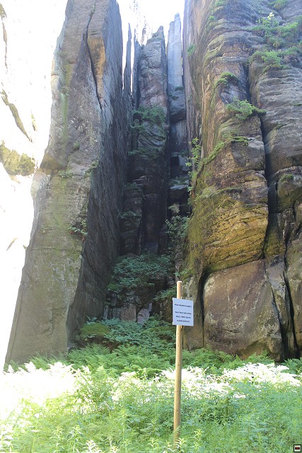 img00269.jpg