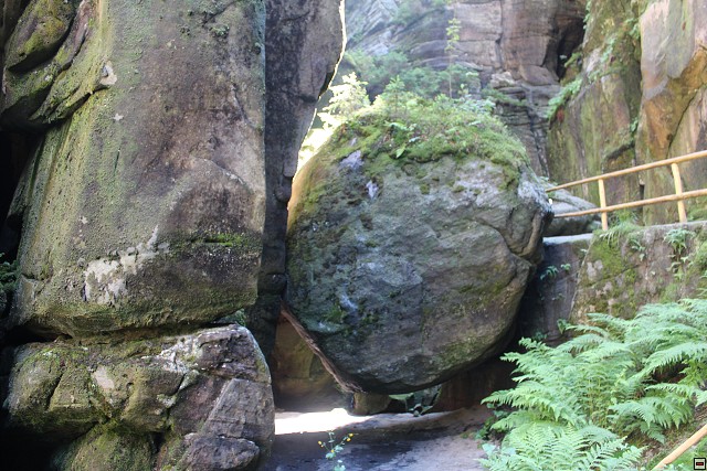 img00270.jpg