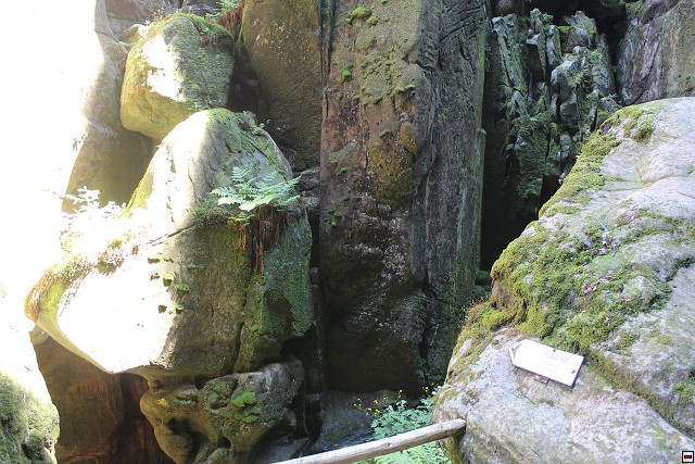 img00271.jpg