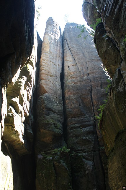 img00275.jpg