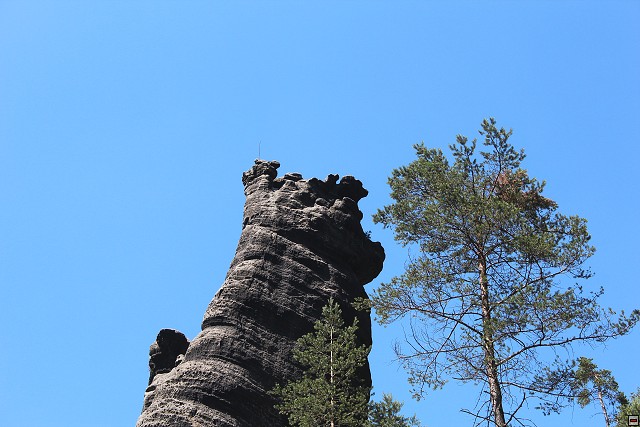 img00287.jpg
