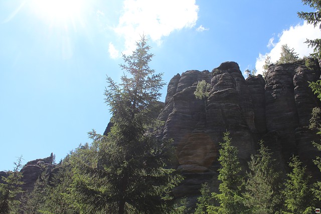 img00288.jpg