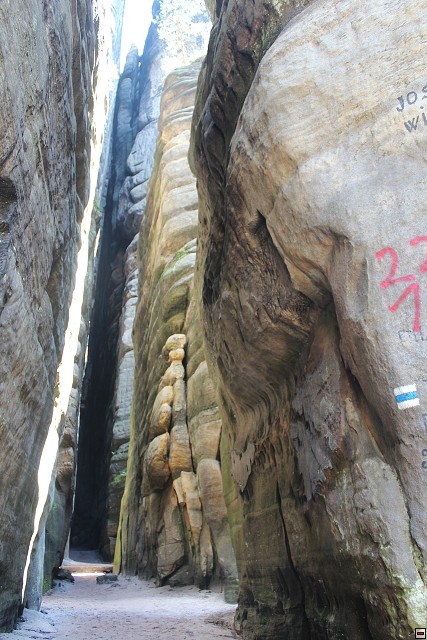 img00290.jpg