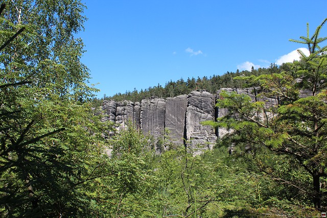 img00299.jpg