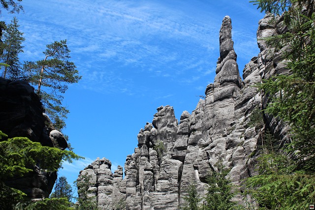 img00301.jpg