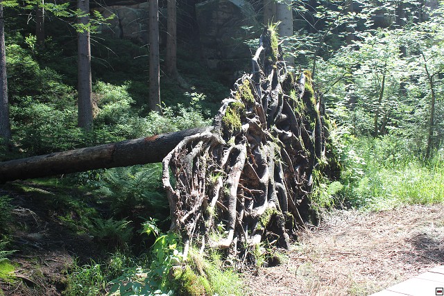 img00304.jpg