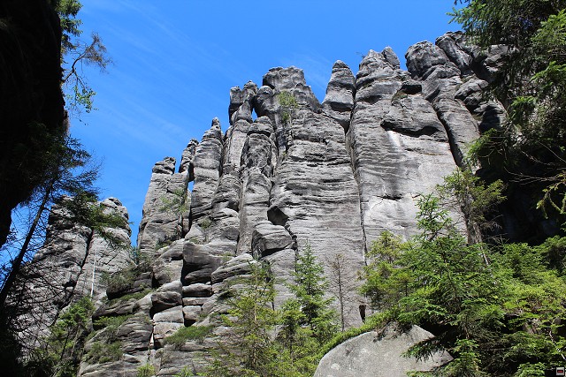 img00307.jpg