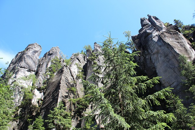 img00313.jpg