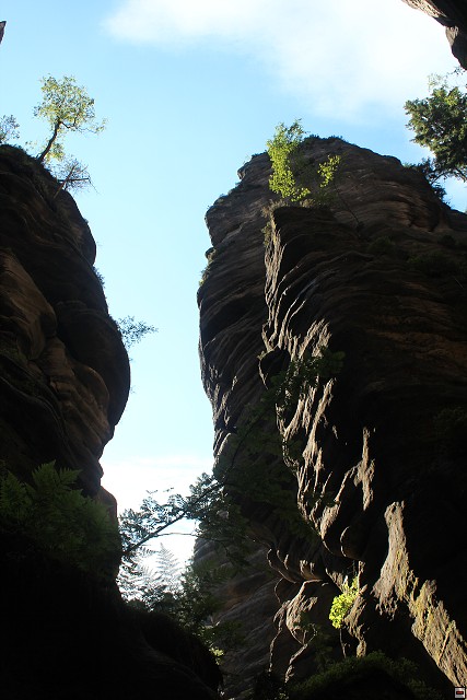 img00316.jpg