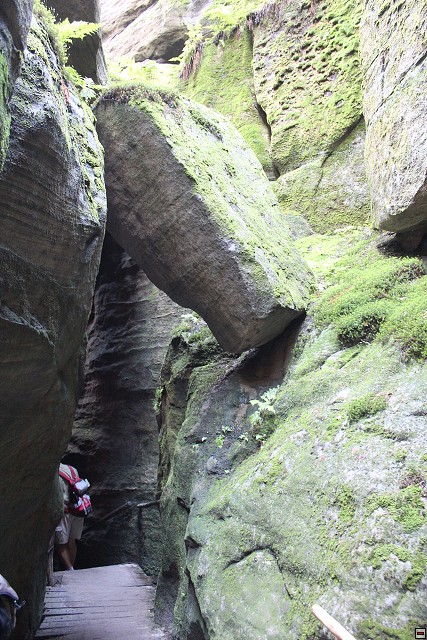 img00317.jpg