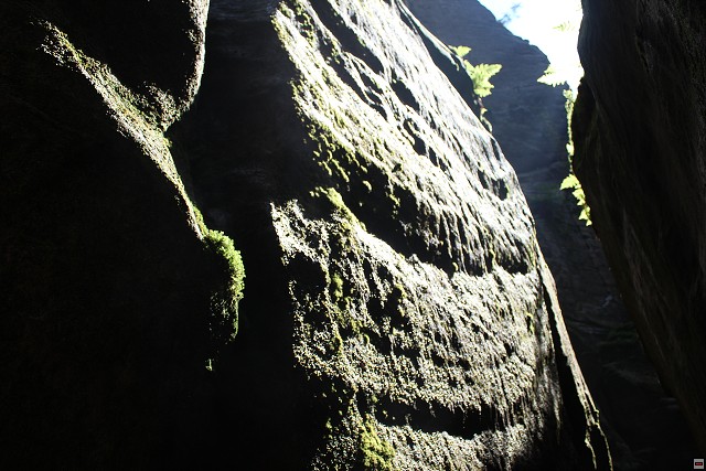 img00320.jpg