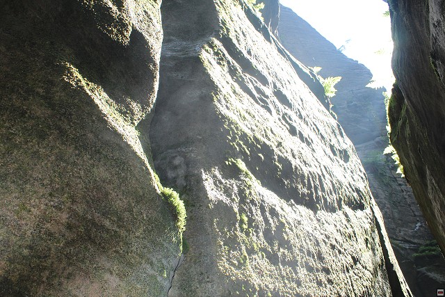 img00321.jpg