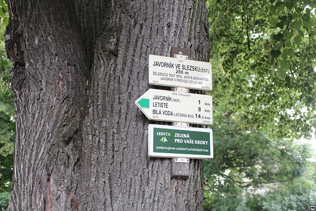 img00015.jpg