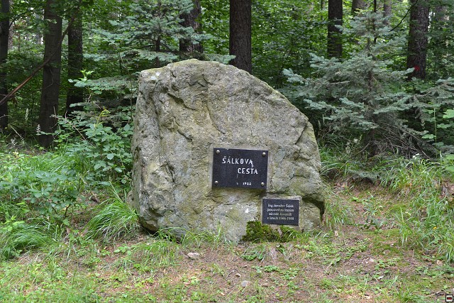 img00043.jpg